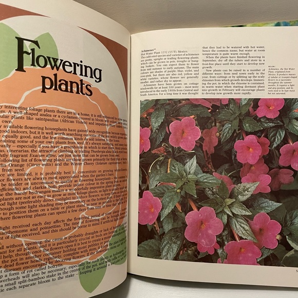Vintage Colourful Houseplants Book - Picture 3 of 4